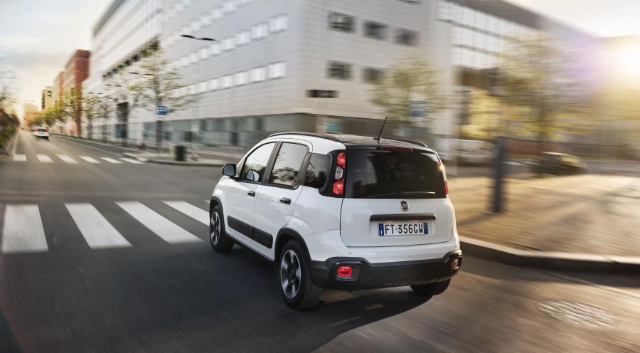  Fiat Panda connected by Wind (319) 2019 года  (фото 18 из 25)